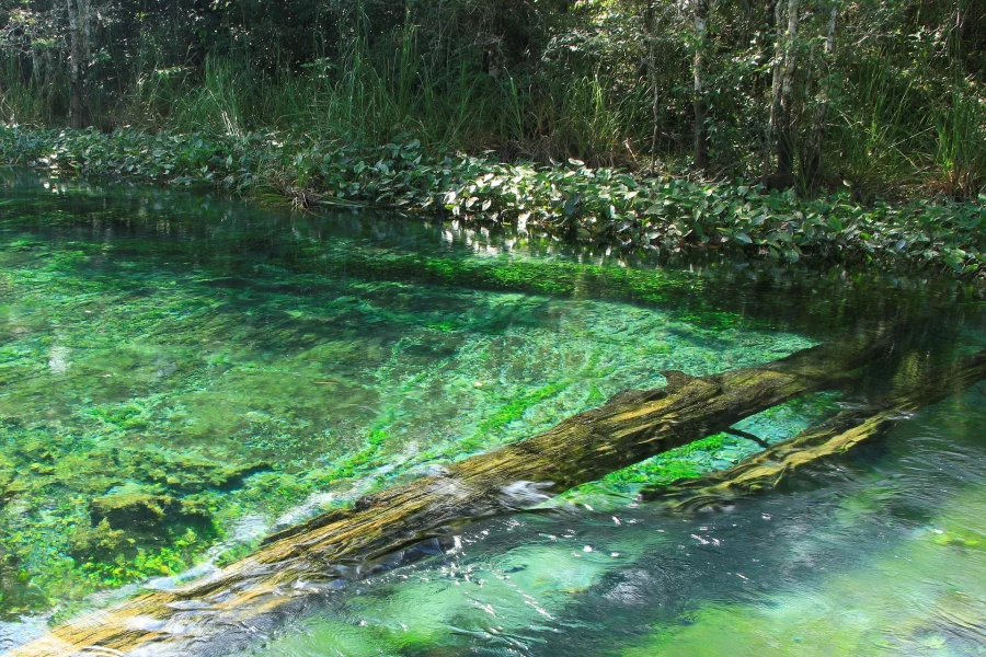 Co łowić w maju? Jakie ryby biorą i gdzie ich szukać - Aktualności wędkarskie