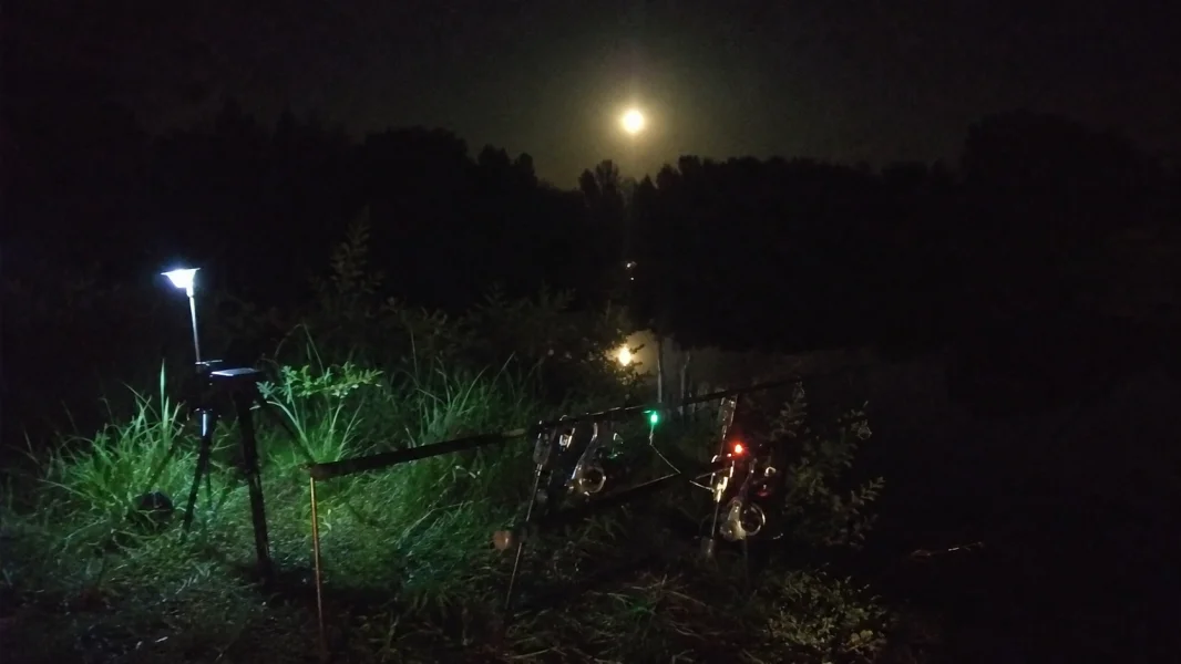 Czy nocne wędkowanie jest skuteczniejsze latem? Dane i doświadczenia wędkarzy - Aktualności wędkarskie