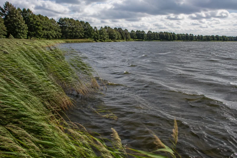 Wiatr nad wodą